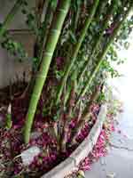 Copy of DSC02892